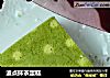 波点抹茶蛋糕的做法