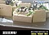 豆豉豆腐箱！的做法