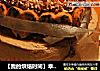 【我的烘焙时间】幸福的味道，你的味道---2012情人节蛋糕的做法