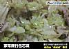 家常腐竹包芯菜的做法