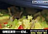 咖喱豆腐煲——初试塔吉锅的做法
