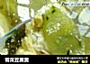 雪菜豆腐羹的做法