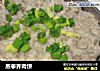 蒸荸荠肉饼的做法