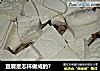 豆腐是怎样做成的？的做法