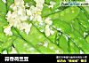 蒜香荷兰豆的做法