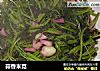 蒜香米苋的做法