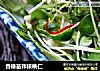 香椿苗拌核桃仁的做法