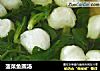 菠菜鱼圆汤的做法