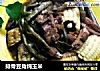 排骨豆角炖玉米的做法