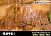 蚝油牛肚！的做法