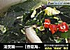汤煲篇——【香菇海带汤】的做法