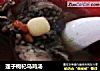 莲子枸杞乌鸡汤的做法