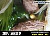 豆芽小油菜面条的做法