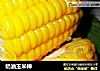 奶油玉米棒的做法