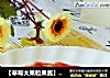 【草莓大果粒果酱】面包好伴侣---自己做更健康更美味的做法