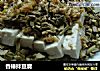 香椿拌豆腐的做法