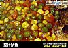 茄汁鲈鱼的做法