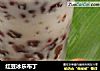 红豆冰乐布丁的做法