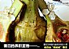 春日的养肝圣物——腊香朝鲜蓟的做法