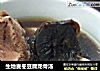生地麦冬豆腐龙骨汤的做法