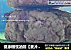 健康橄榄油版【麦片早餐饼干】的做法
