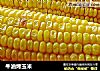 牛油烤玉米的做法