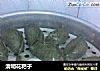 清明花粑子的做法