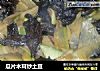 瓜片木耳炒土豆的做法