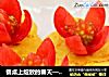 餐桌上绽放的春天——花样馒头片的做法