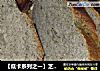 【低卡系列之一】芝麻核桃胚芽面包的做法