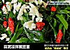 蒜泥凉拌豌豆苗的做法