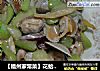 【福州家常菜】花蛤炒丝瓜的做法