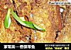 家常菜---香酥带鱼的做法