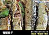 青椒鱼干的做法