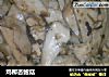 鸡柳杏鲍菇的做法