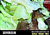 凉拌圆白菜的做法