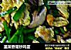 韭菜香菇炒鸡蛋的做法