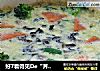 好7看得见De“荠菜鸡蛋羹”-微波菜肴-的做法