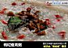 枸杞瘦肉粥的做法