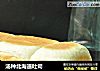 汤种北海道吐司的做法