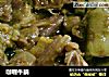 咖喱牛腩的做法