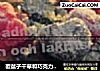 覆盆子干草和巧克力慕丝的做法