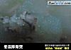 冬瓜排骨煲的做法