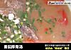 番茄排骨汤的做法