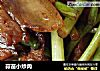 蒜苗小炒肉的做法