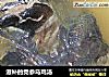 滋补的党参乌鸡汤的做法