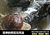 简单的香茹乌鸡汤的做法