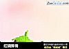红烧排骨做法(91)的做法