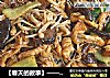 ［春天的故事］——双菇炒鸡丝的做法
