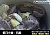 假日小食：鸡胗的做法